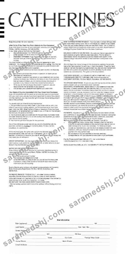 CATHERINES earnings statement template in Word and PDF formats.pdf, 2